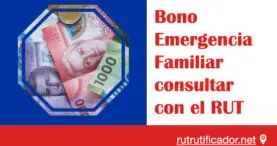 Bono Emergencia Familiar consultar con el RUT