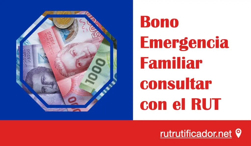 Bono Emergencia Familiar consultar con el RUT