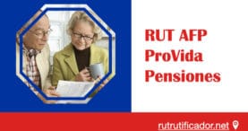 rut afp provida