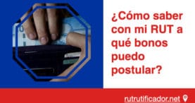 Como saber con mi RUT a que bonos puedo postular