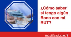 Como saber si tengo algun Bono con mi RUT