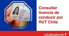 Consultar licencia de conducir por RUT Chile