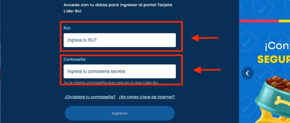 Pago en linea Lider con RUT paso 2