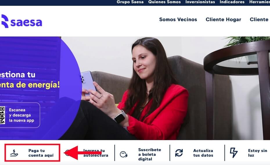 saesa pagar con rut