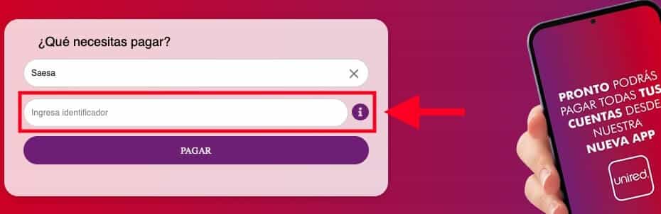 pagar saesa unired numero de cliente