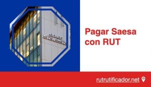 pagar saesa con rut