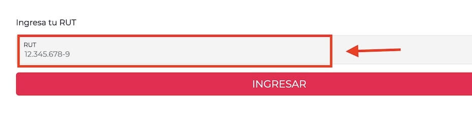 Pagar Abcdin con RUT en linea paso 3