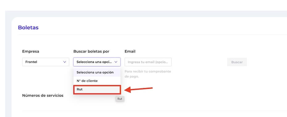 Pagar Frontel con RUT en linea paso 5