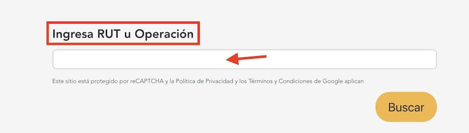 Pagar Caja Los Andes con RUT en línea paso 3