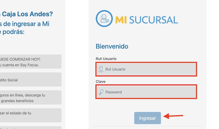 Pagar Caja Los Andes sucursal virtual paso 3