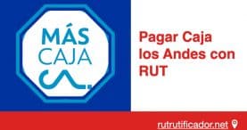 Pagar Caja los Andes con RUT