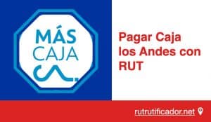 Pagar Caja los Andes con RUT