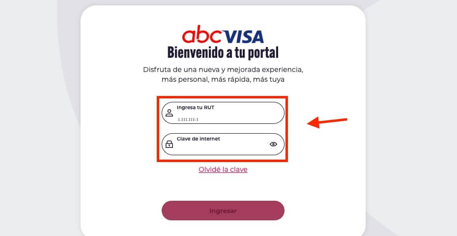 como ver tu estado de cuenta ABCDIN con RUT paso 3