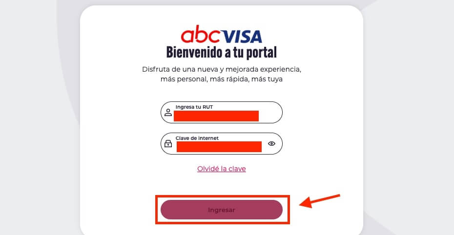 como ver tu estado de cuenta ABCDIN con RUT paso 4