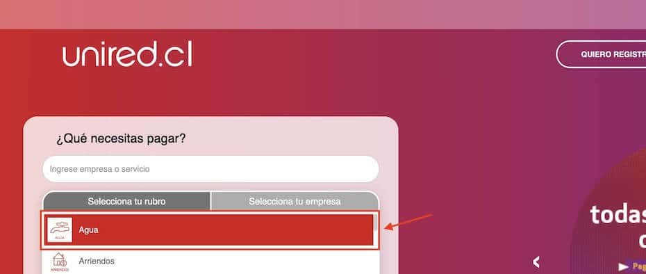 Pagar Aguas Decima con numero de cliente en Unired paso 2