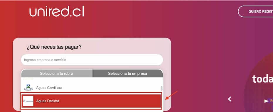 Pagar Aguas Decima con numero de cliente en Unired paso 3