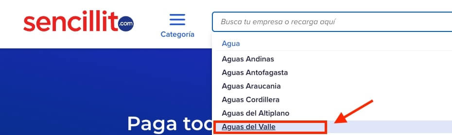 Pagar Aguas del Valle en Sencillito paso 3