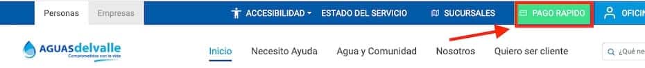 pagar Aguas del Valle online paso 2