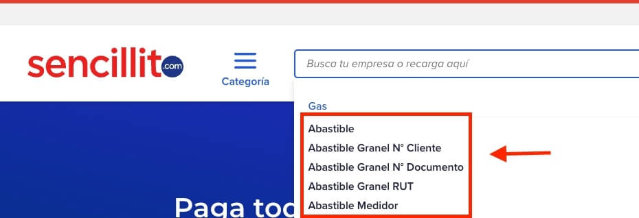 Pagar Abastible en Sencillito paso 3