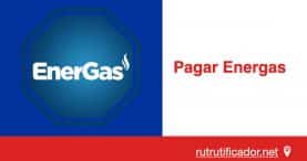 Pagar Energas