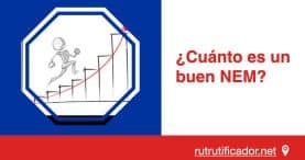 ¿Cuánto es un buen NEM y Ranking?